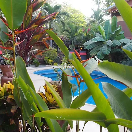 Samara Palm Lodge