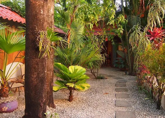 Palm Samara