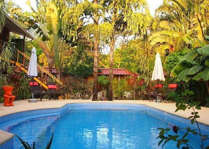 Palm Samara