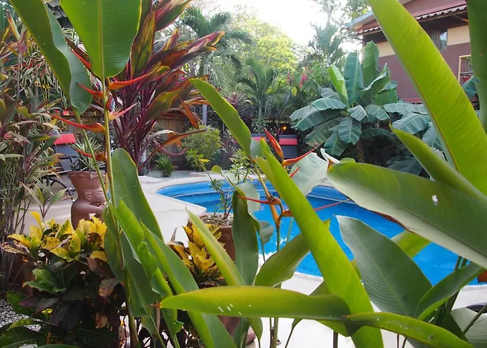 Palm Hotel