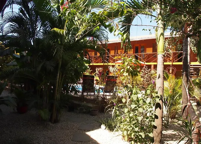Hotel Palm Samara